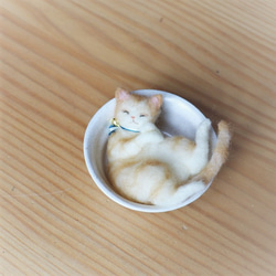 和カップ猫きなこ●10.5cm★全国発送一律４００円 7枚目の画像