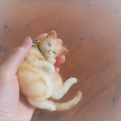 和カップ猫きなこ●10.5cm★全国発送一律４００円 5枚目の画像