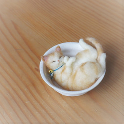 和カップ猫きなこ●10.5cm★全国発送一律４００円 10枚目の画像