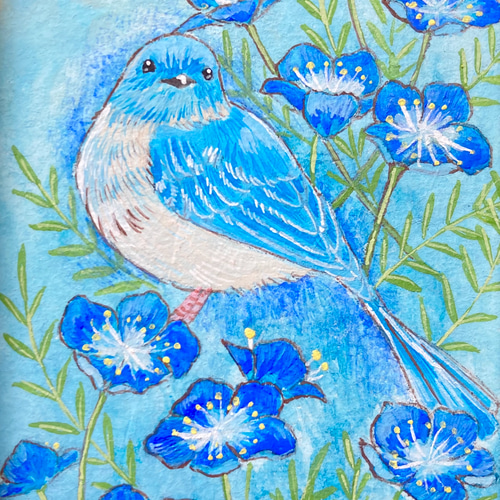 日本画 花と鳥の絵 Amazon｜桜花に小鳥 緒方葉水 49.5× 61㎝ F8 J4-B011 額入り