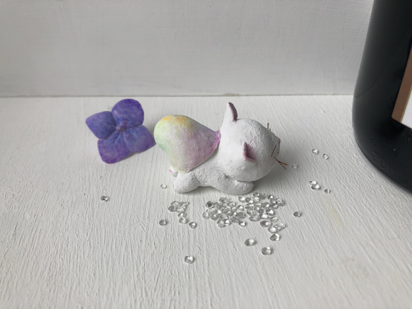 彩虹色蝸牛貓白色 第3張的照片