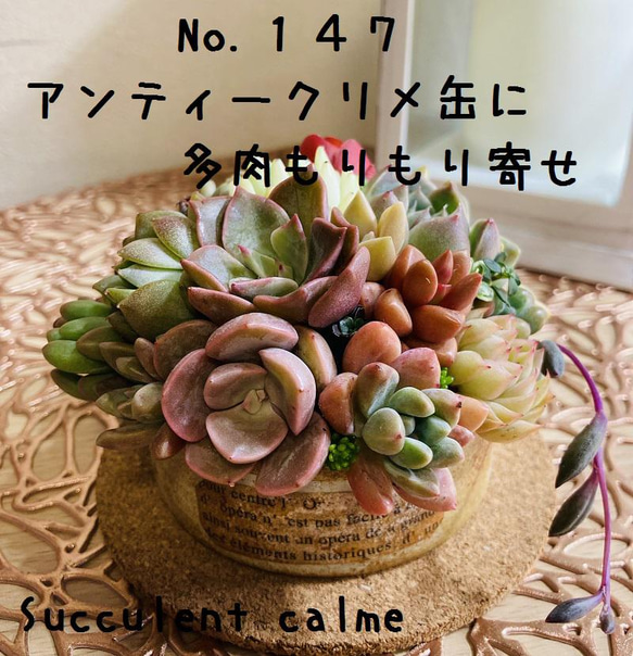 94471870_5
