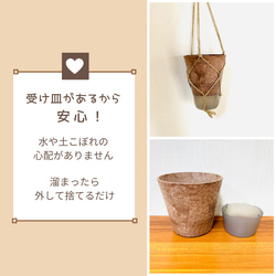 【当店人気No.1】ボリュームいっぱい♡シュガーバイン　ハンギング　アロマ鉢　 4号　受け皿付き　壁掛け　インテリア 9枚目の画像