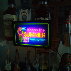 夏 オウム カメラ 思い出 南国 ビーチ ミニチュア デスクトップ 看板 玩具 置物 雑貨 LEDライトBOXミニ 5枚目の画像