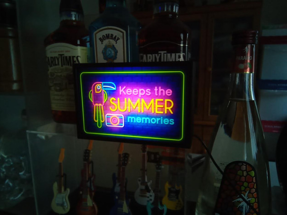 夏 オウム カメラ 思い出 南国 ビーチ ミニチュア デスクトップ 看板 玩具 置物 雑貨 LEDライトBOXミニ 5枚目の画像