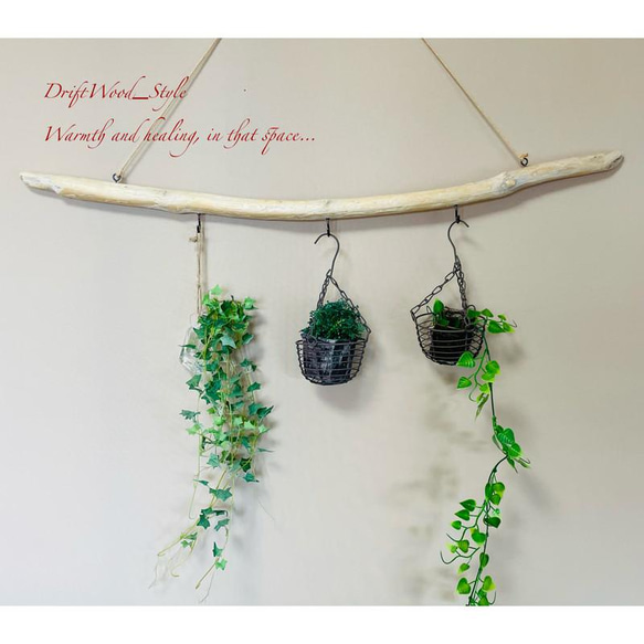 流木インテリア 木肌が斑模様の真っすぐなハンガーフック 流木ハンガー ハンギング ウォールデコ 壁掛け 北欧 No.89 1枚目の画像