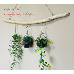 流木インテリア 木肌が斑模様の真っすぐなハンガーフック 流木ハンガー ハンギング ウォールデコ 壁掛け 北欧 No.89 3枚目の画像