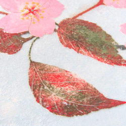 ＜桜ハンドメイド＞盛り鉢　紅山桜 8枚目の画像