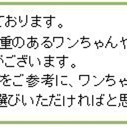 波柄　オリジナル小型犬用首輪1.5cm幅 7枚目の画像