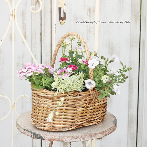 季節の花 おまかせ寄せ植え 木製ナチュラルバスケットbrown アート