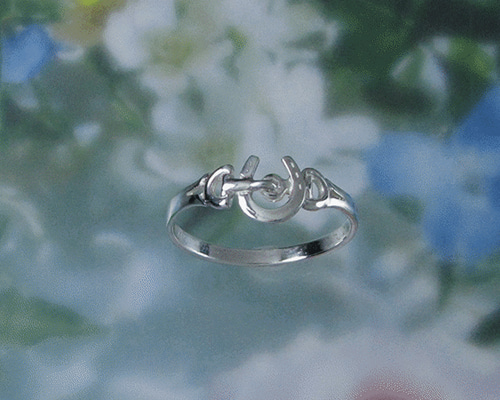 minami jewelry リング　シルバー 2025年最新】MiNAMI jewelry リングの人気アイテム - メルカリ