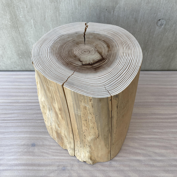 杉の切り株の造形的置物 丸太 椅子 スツール -1 オブジェ ディスプレイ 高級感 スタイリッシュ 8枚目の画像