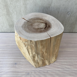 杉の切り株の造形的置物 丸太 椅子 スツール -1 オブジェ ディスプレイ 高級感 スタイリッシュ 6枚目の画像