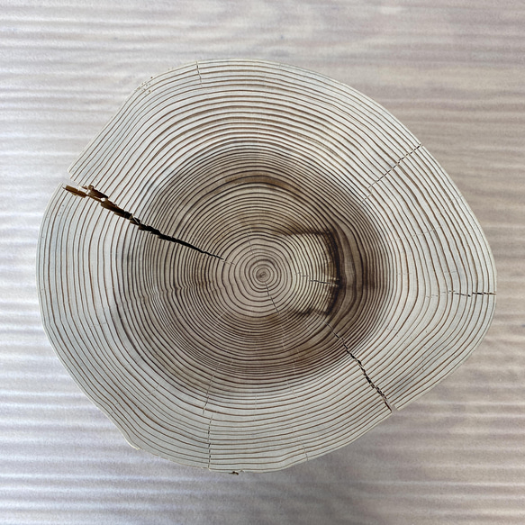 杉の切り株の造形的置物 丸太 椅子 スツール -1 オブジェ ディスプレイ 高級感 スタイリッシュ 3枚目の画像