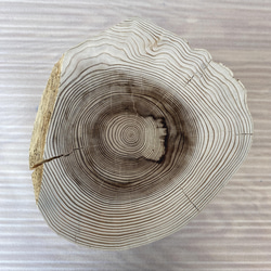 杉の切り株の造形的置物 丸太 椅子 スツール -1 オブジェ ディスプレイ 高級感 スタイリッシュ 7枚目の画像