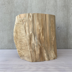 杉の切り株の造形的置物 丸太 椅子 スツール -1 オブジェ ディスプレイ 高級感 スタイリッシュ 2枚目の画像