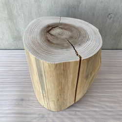 杉の切り株の造形的置物 丸太 椅子 スツール -1 オブジェ ディスプレイ 高級感 スタイリッシュ 9枚目の画像
