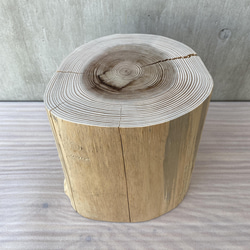 杉の切り株の造形的置物 丸太 椅子 スツール -1 オブジェ ディスプレイ 高級感 スタイリッシュ 5枚目の画像