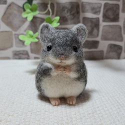 受注制作】チンチラ 羊毛フェルト 羊毛フェルト corron 通販 13770142