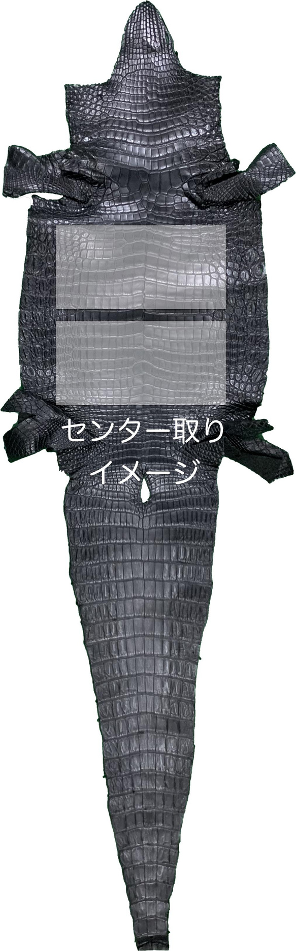 日本製　上質　クロコダイル　財布　ミドルウォレット　札入れ　エキゾチックレザー 15枚目の画像