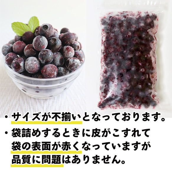 【2023年収穫】高知県産　太陽の恵み さんさんブルーベリー　冷凍ブルーベリー（500g×6袋） 2枚目の画像