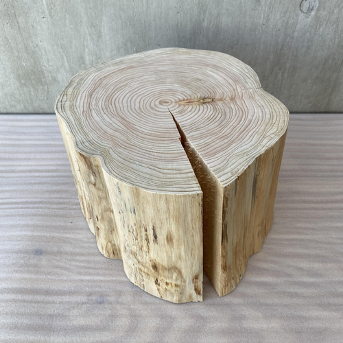 ヒノキの切り株の造形的置物大プレート -5 その他インテリア雑貨