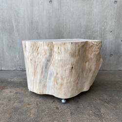 【ヒノキの切り株の造形的置物】テーブル 丸太 椅子 スツール オブジェ ディスプレイ サイドテーブル インテリア 植物 6枚目の画像