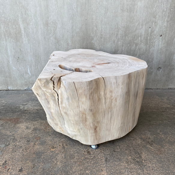 【ヒノキの切り株の造形的置物】テーブル 丸太 椅子 スツール オブジェ ディスプレイ サイドテーブル インテリア 植物 2枚目の画像