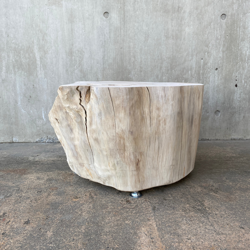 ヒノキの切り株の造形的置物】テーブル 丸太 椅子 スツール オブジェ