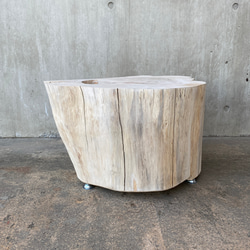 【ヒノキの切り株の造形的置物】テーブル 丸太 椅子 スツール オブジェ ディスプレイ サイドテーブル インテリア 植物 8枚目の画像