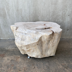 【ヒノキの切り株の造形的置物】テーブル 丸太 椅子 スツール オブジェ ディスプレイ サイドテーブル インテリア 植物 1枚目の画像