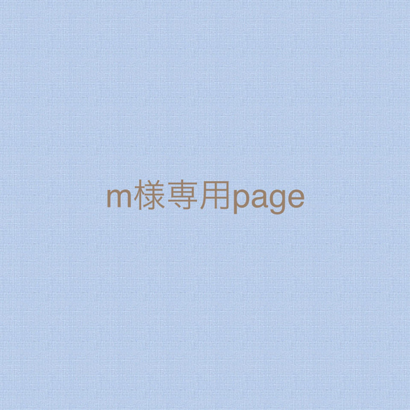 m様専用page 1枚目の画像