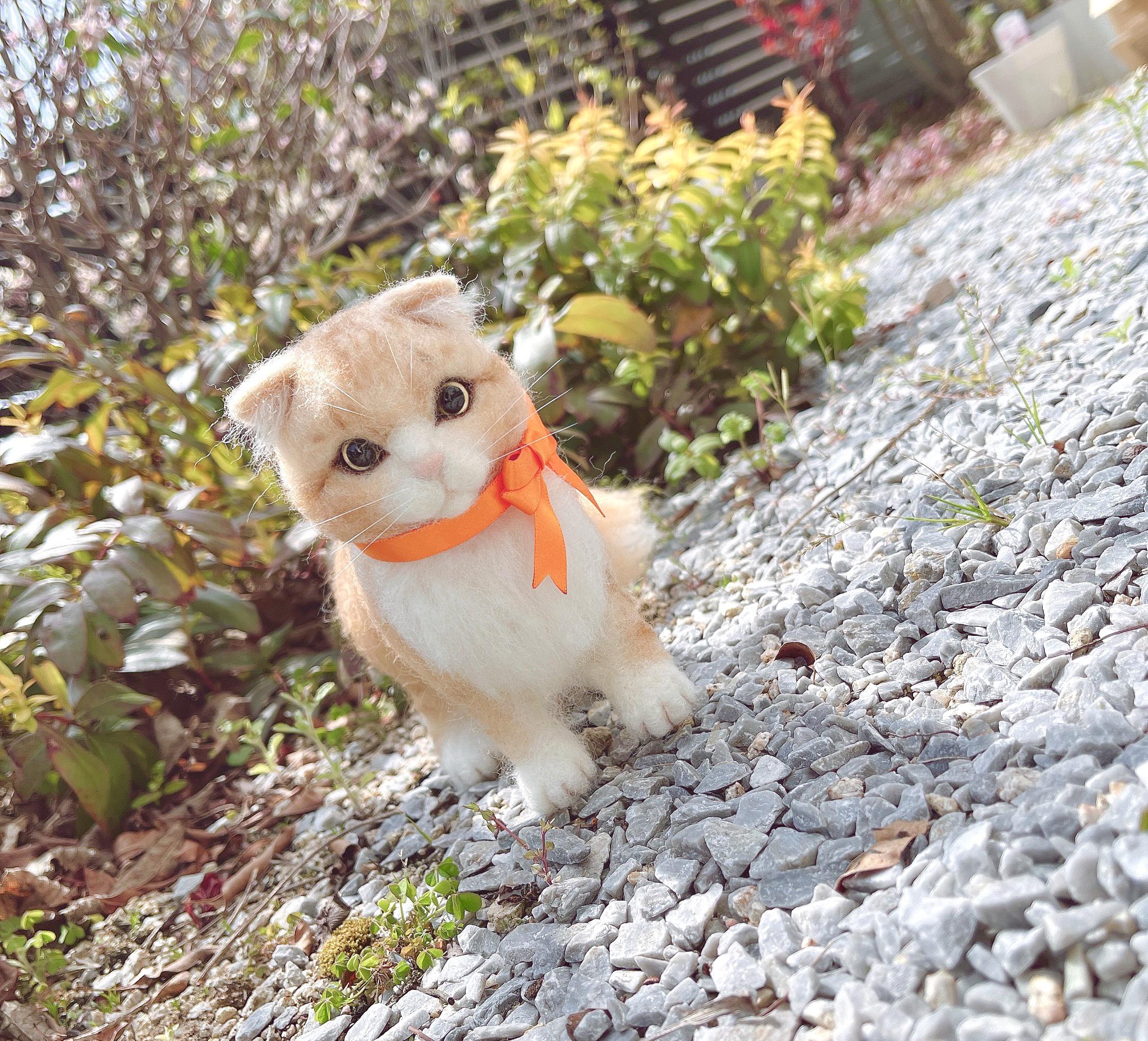 もたこ 羊毛フェルト猫 茶トラ猫 スコティッシュフォールド 羊毛