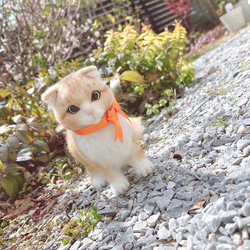 羊毛フェルト　猫(スコティッシュフォールド) hm441-649ue.jpg