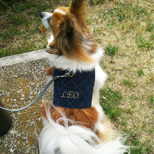 犬用デニムハーネス ペット服・アクセサリー ちりた's handmade 通販
