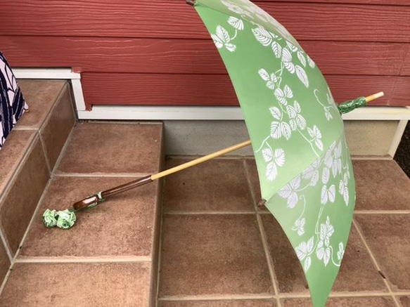 蔓と葉の日傘 1枚目の画像