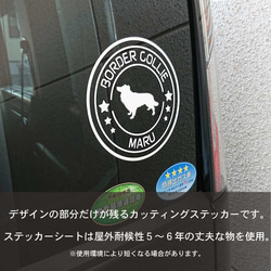 猫ドラレコ ステッカー シール 丸型 REC ドライブレコーダー搭載車 録画中 カッティング カーステッカー 10枚目の画像