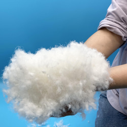 【素材販売】羽毛（リアルダウン） 2枚目の画像