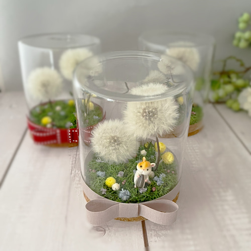 タンポポ綿毛ドライフラワー2025年産 ボトルフラワー【送料一部負担