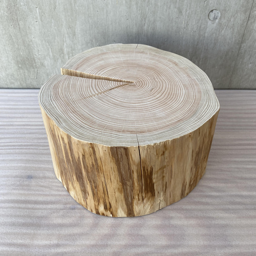 ひのきの切り株プレート】什器 アクセサリー ピアス 時計 天然石 花