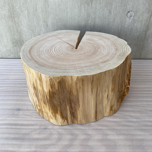 ひのきの切り株プレート】什器 アクセサリー ピアス 時計 天然石 花