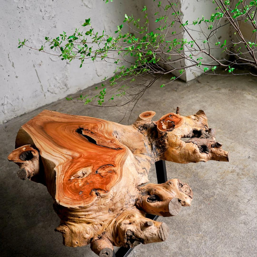 一枚板　変木　無垢　けやき　値下げしました、。 一枚板 変木 無垢 けやき 値下げしました、。 けやき！ケヤキ