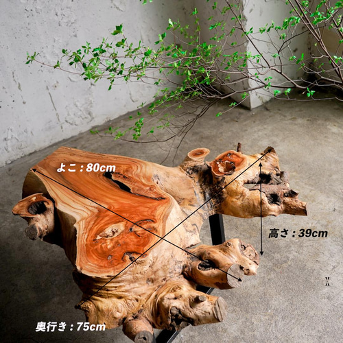 けやきのこぶ、ローテーブル けやきのこぶ、ローテーブル