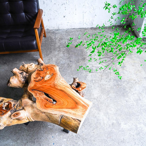 けやきの変木一枚板 ローテーブル ローテーブル・リビングテーブル