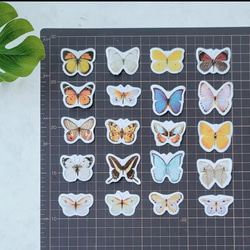海外フレークシール 切手風「 Butterfly  」蝶々　フレークシール  40枚　 海外シール 3枚目の画像