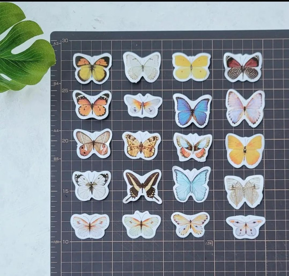 海外フレークシール 切手風「 Butterfly  」蝶々　フレークシール  40枚　 海外シール 3枚目の画像