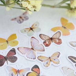 海外フレークシール 切手風「 Butterfly  」蝶々　フレークシール  40枚　 海外シール 4枚目の画像