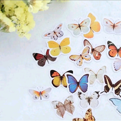 海外フレークシール 切手風「 Butterfly  」蝶々　フレークシール  40枚　 海外シール 2枚目の画像