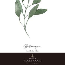 ☆インテリアアートポスター -botanique-【216】 7枚目の画像