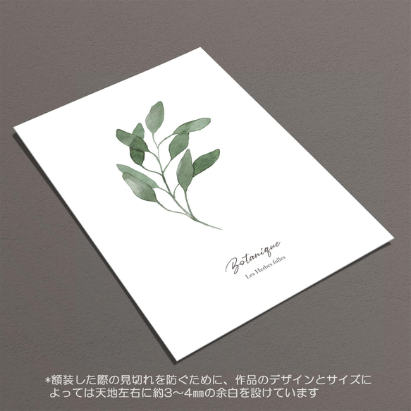 ☆インテリアアートポスター -botanique-【216】 6枚目の画像